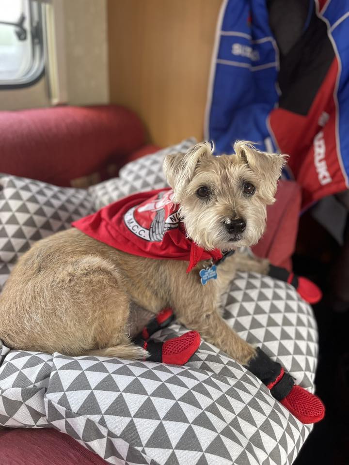 Dobbie Representing.jpg